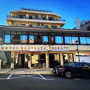 Family The Golden Fish Hotel